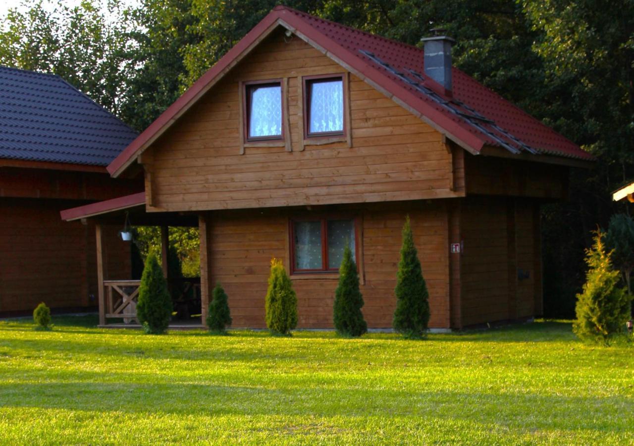 Apartament Oaza Lawki