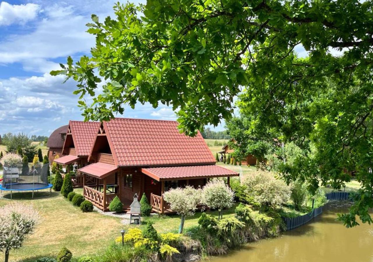 Apartament Oaza Lawki